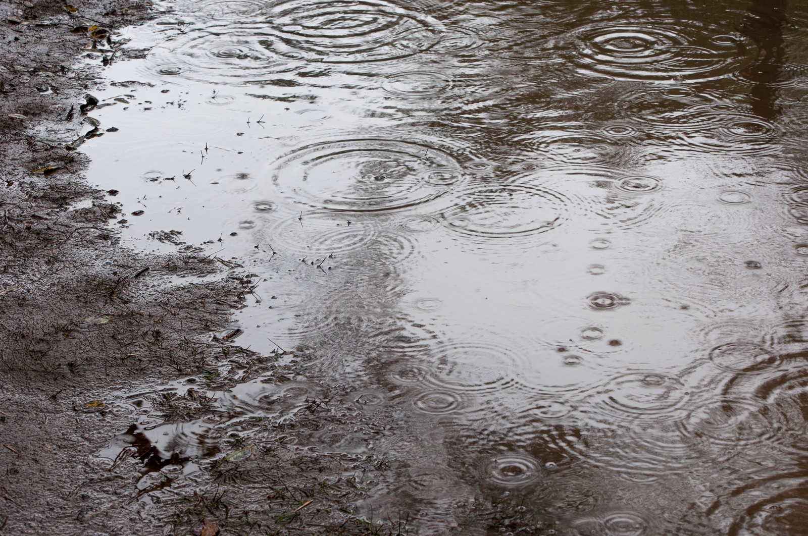 雨