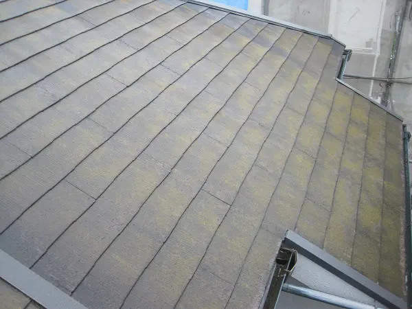 千葉県市川市 屋根塗装 外壁塗装 付帯部塗装 安さの理由 無料診断 チョーキング現象 船橋市の外壁塗装 屋根塗装 株式会社w Win